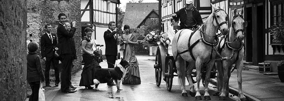 Hochzeit / Wedding / Brautfotos / Hochzeitsfotos