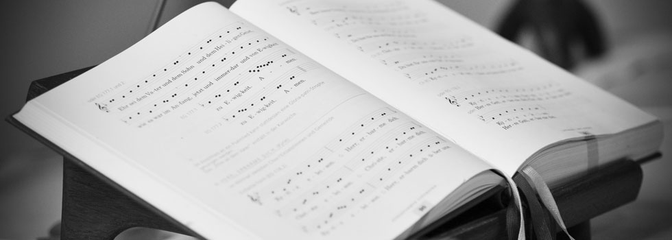 Hochzeit / Wedding / Brautfotos / Hochzeitsfotos