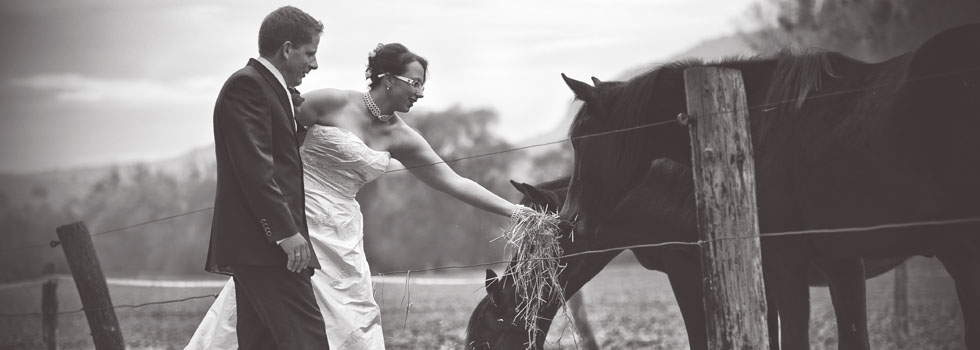 Hochzeit / Wedding / Brautfotos / Hochzeitsfotos